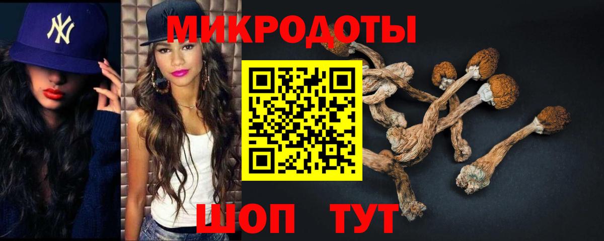 Псилоцибиновые грибы мухоморы  Вход с VPN  Губаха  Псилоцибиновые грибы прущие грибы 